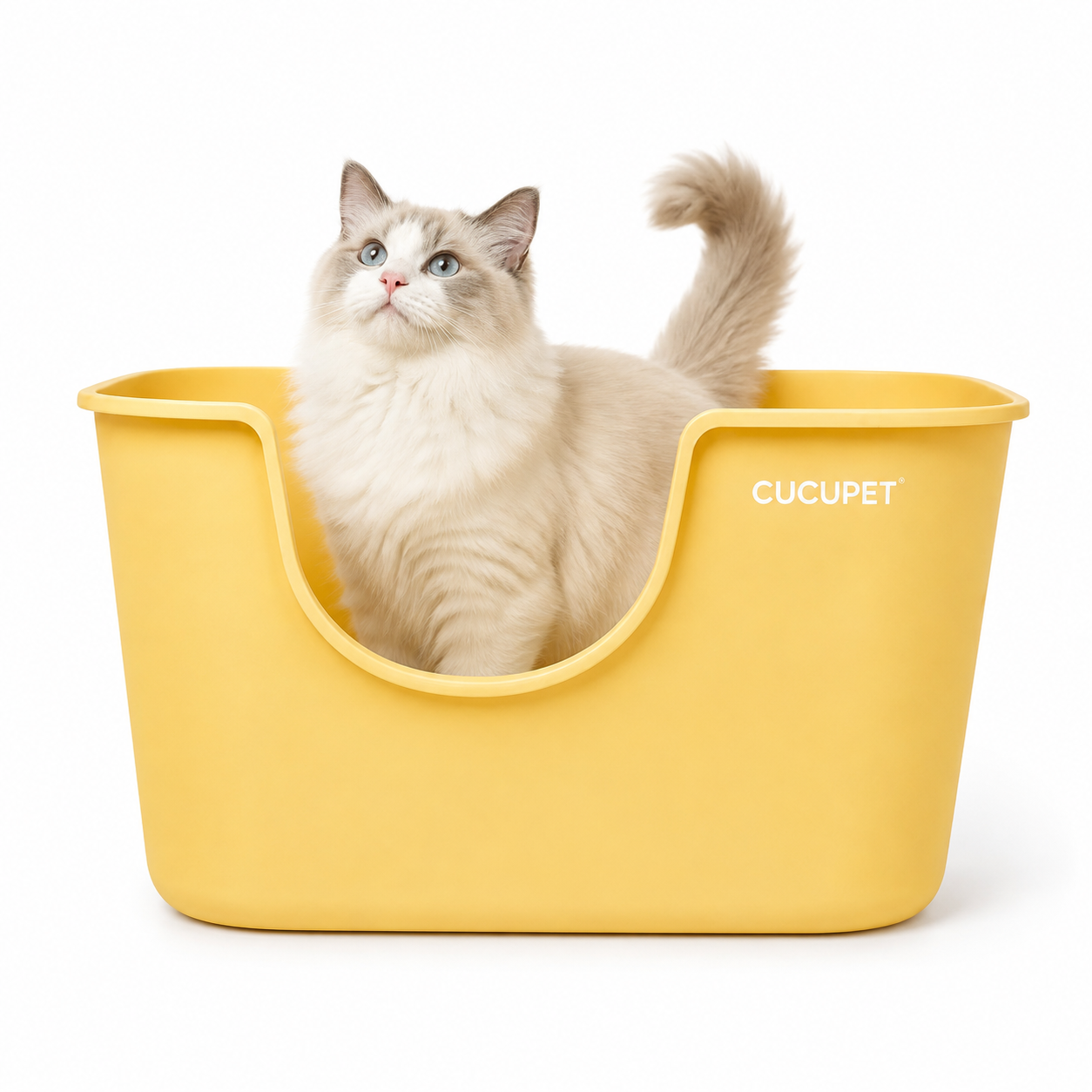 Extra Large High-Sided Cat Litter Box