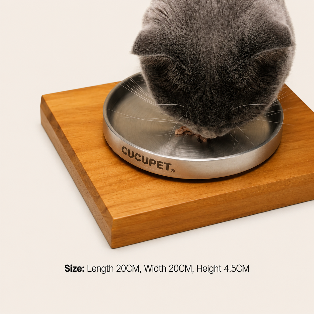Double-Wall Stainless Steel Pet Food Bowl And Stand