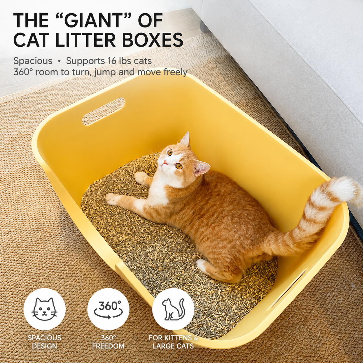 Extra Large High-Sided Cat Litter Box