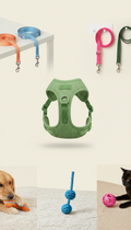 Leaf Green Ergonomic Dog Harness